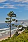 USA- Oregon. Cannon Beach with Haystack Art Print
